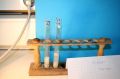 gal/LES_CINQUIEMES/ACTIVITE DIGESTION IN VITRO/Groupe_02/Groupe02_T_00h00min/_thb_Groupe02_temps__H__min_13.jpg